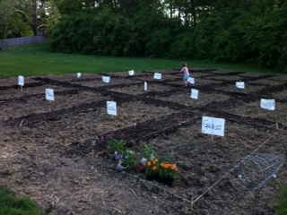 Garden plots.JPG