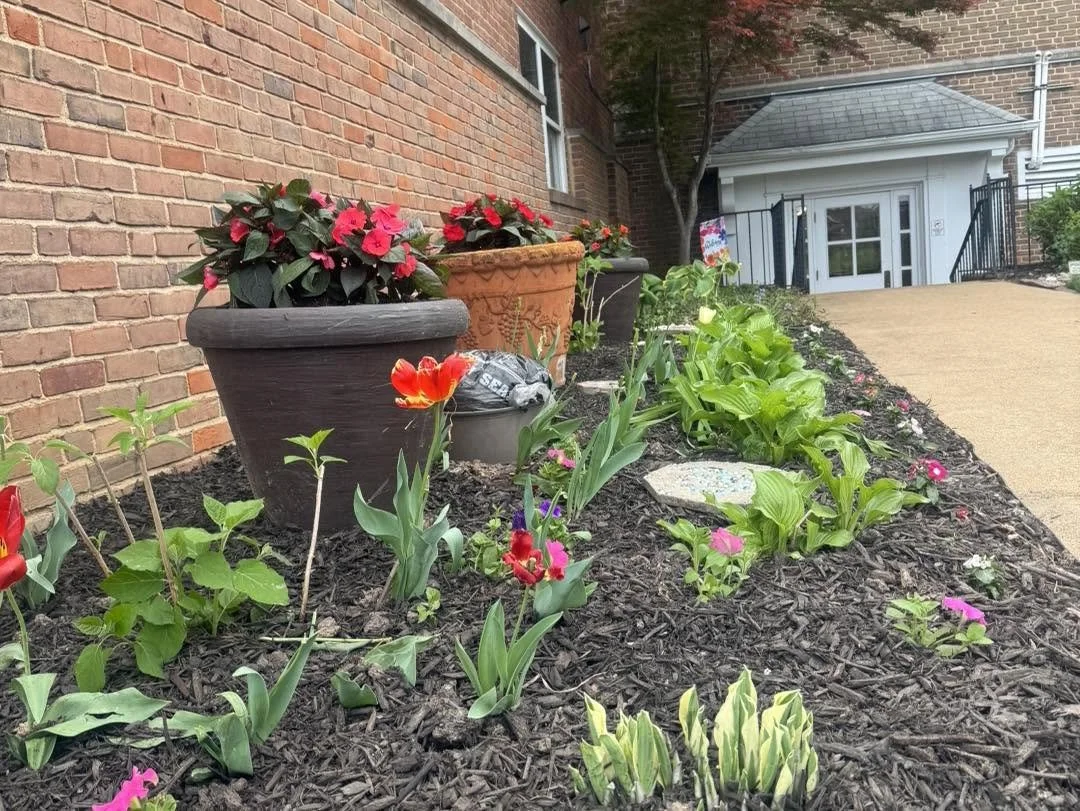 fdp spring flowers.jpg