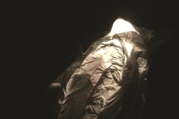 IMPROBABLE: THE ELDERSHIP PROJECT