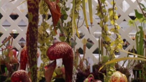 Cool Hunting Video: California Carnivores