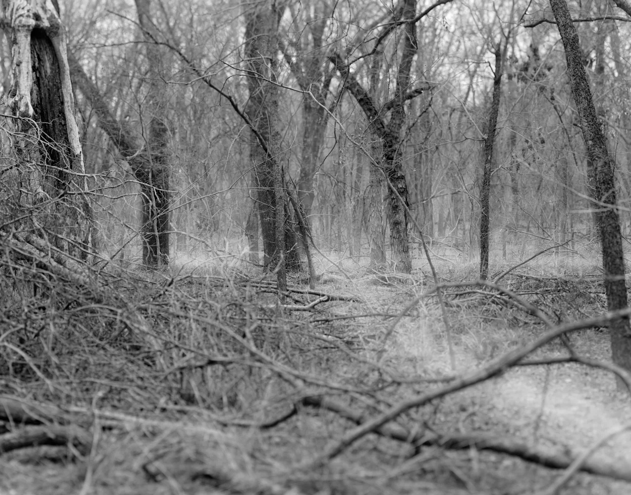 Greenbelt