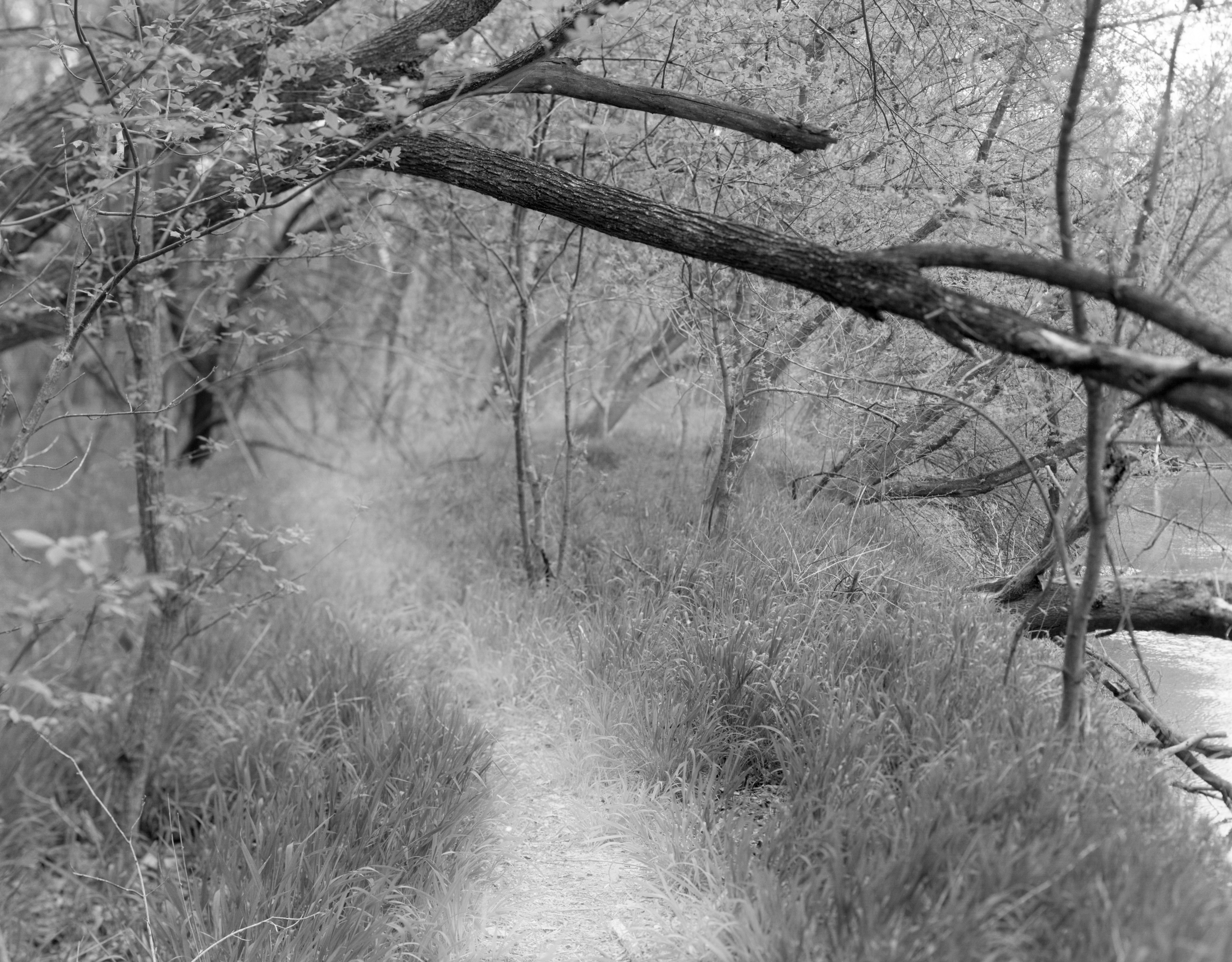 The Corridor