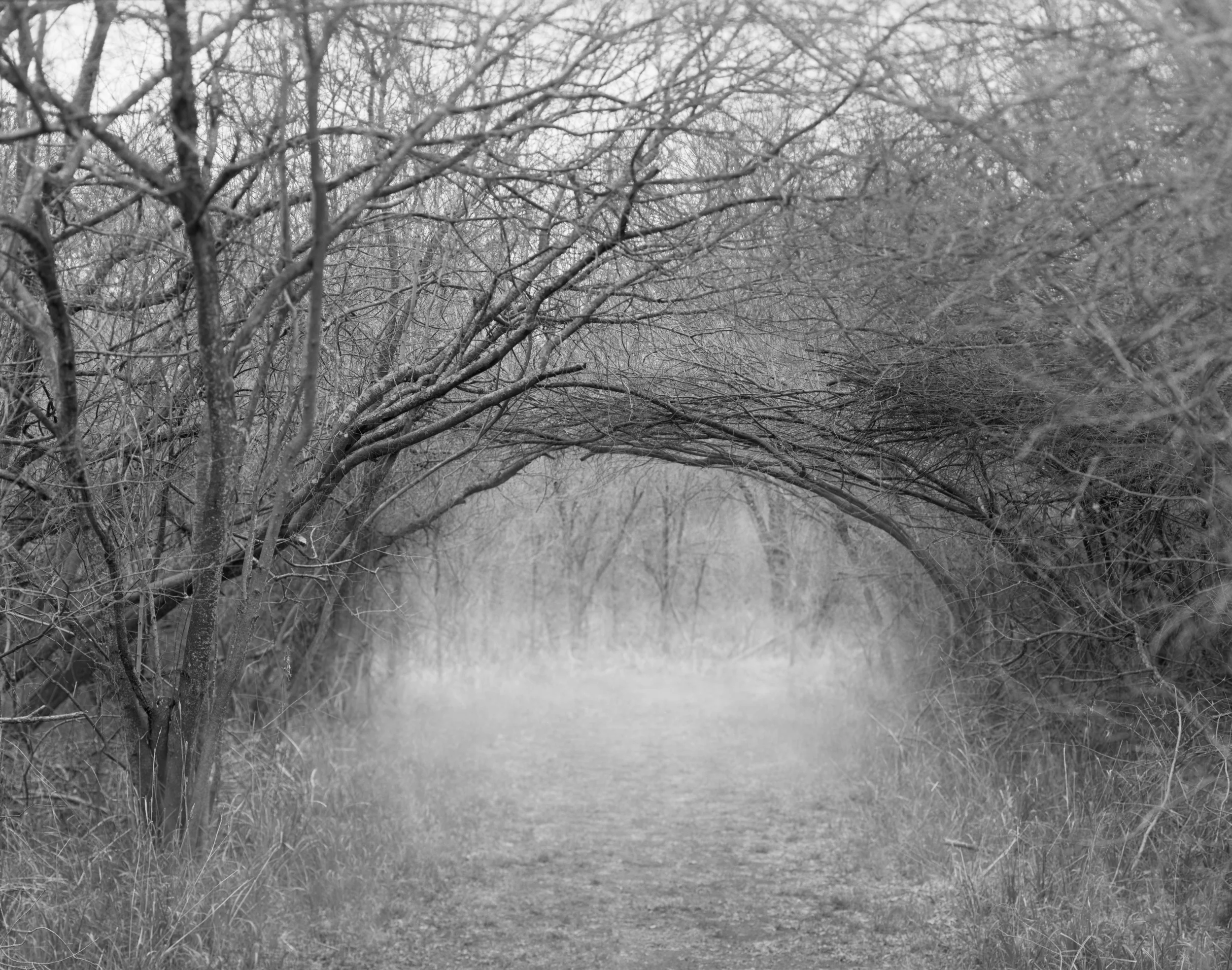 The Trailhead