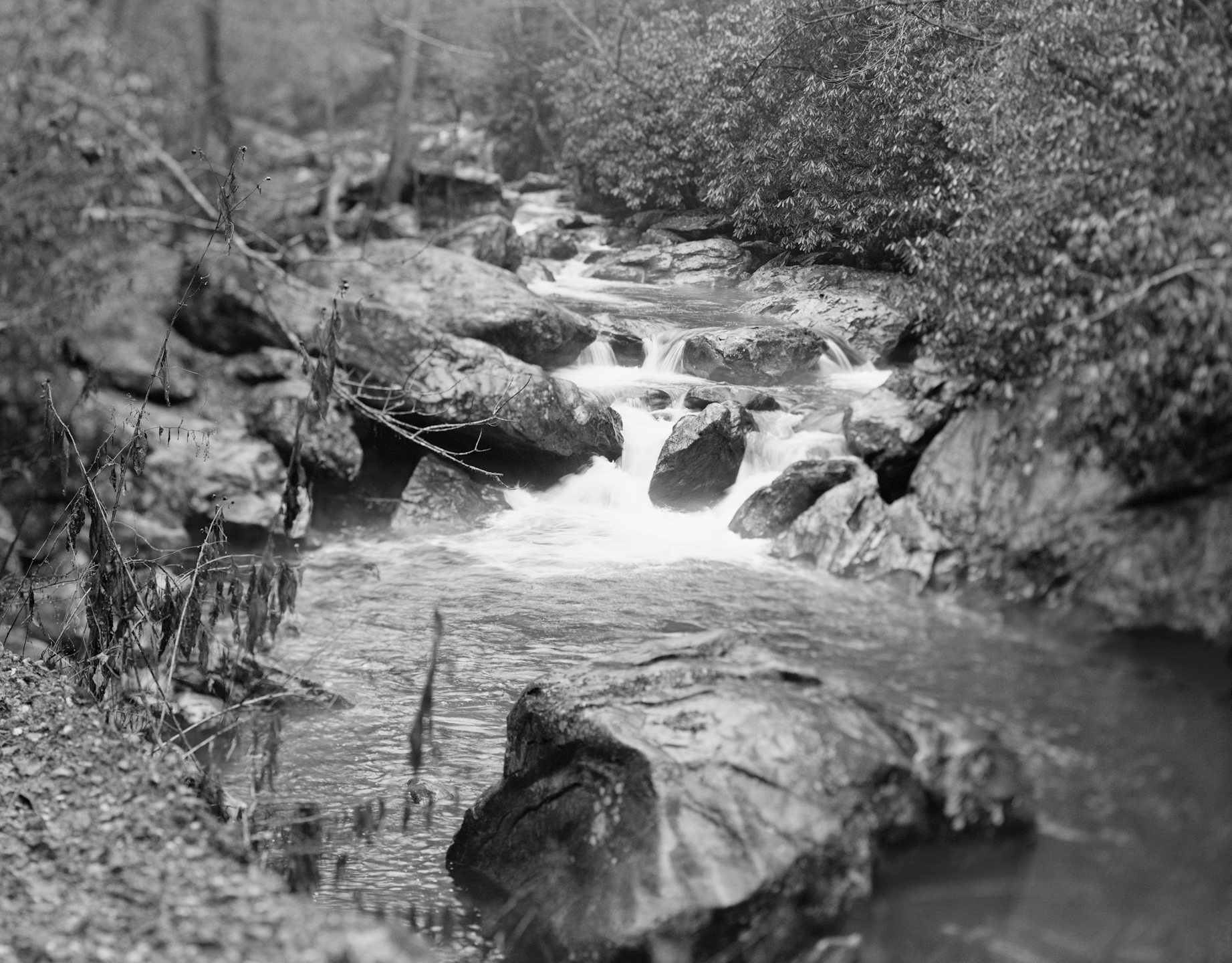 The Nantahala