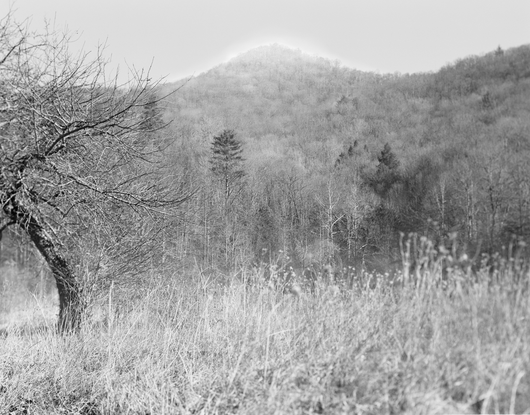 The Valley