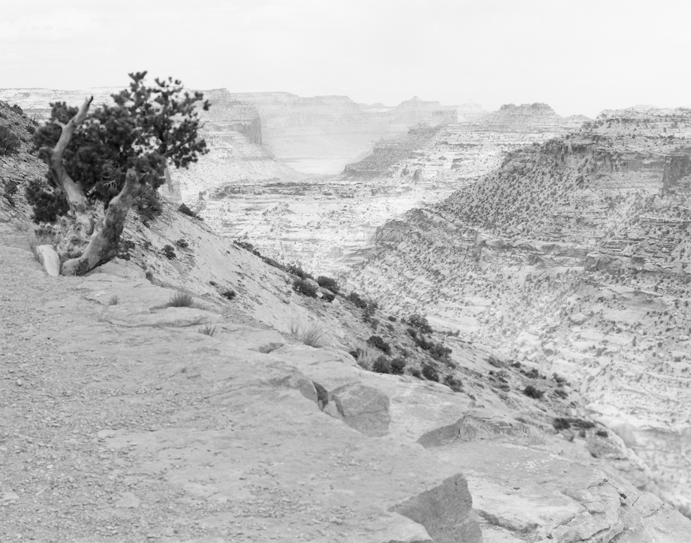The Wedge