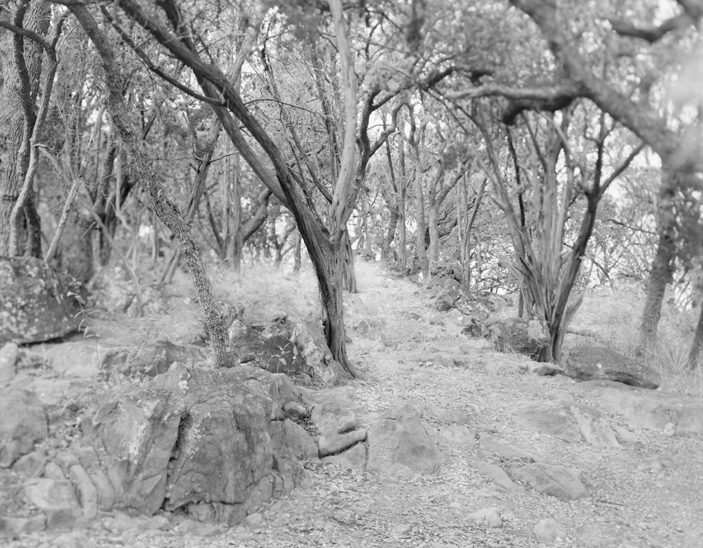 The Hollow