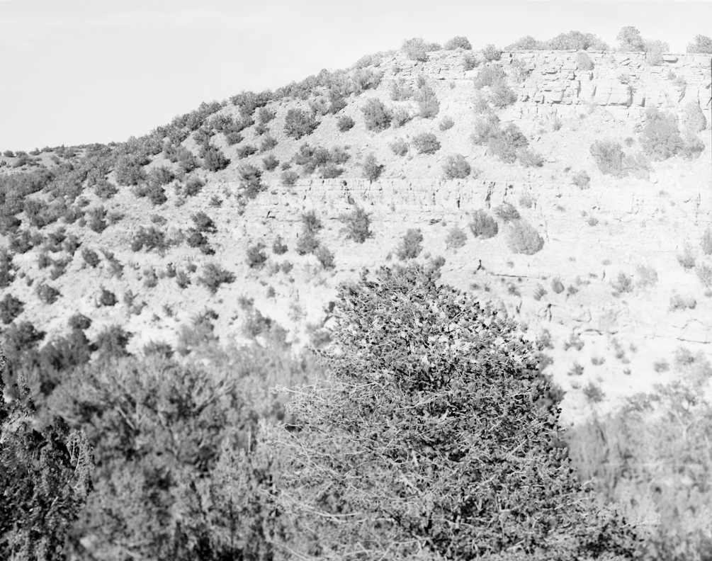 Villanueva
