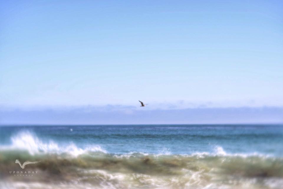 California coast line.