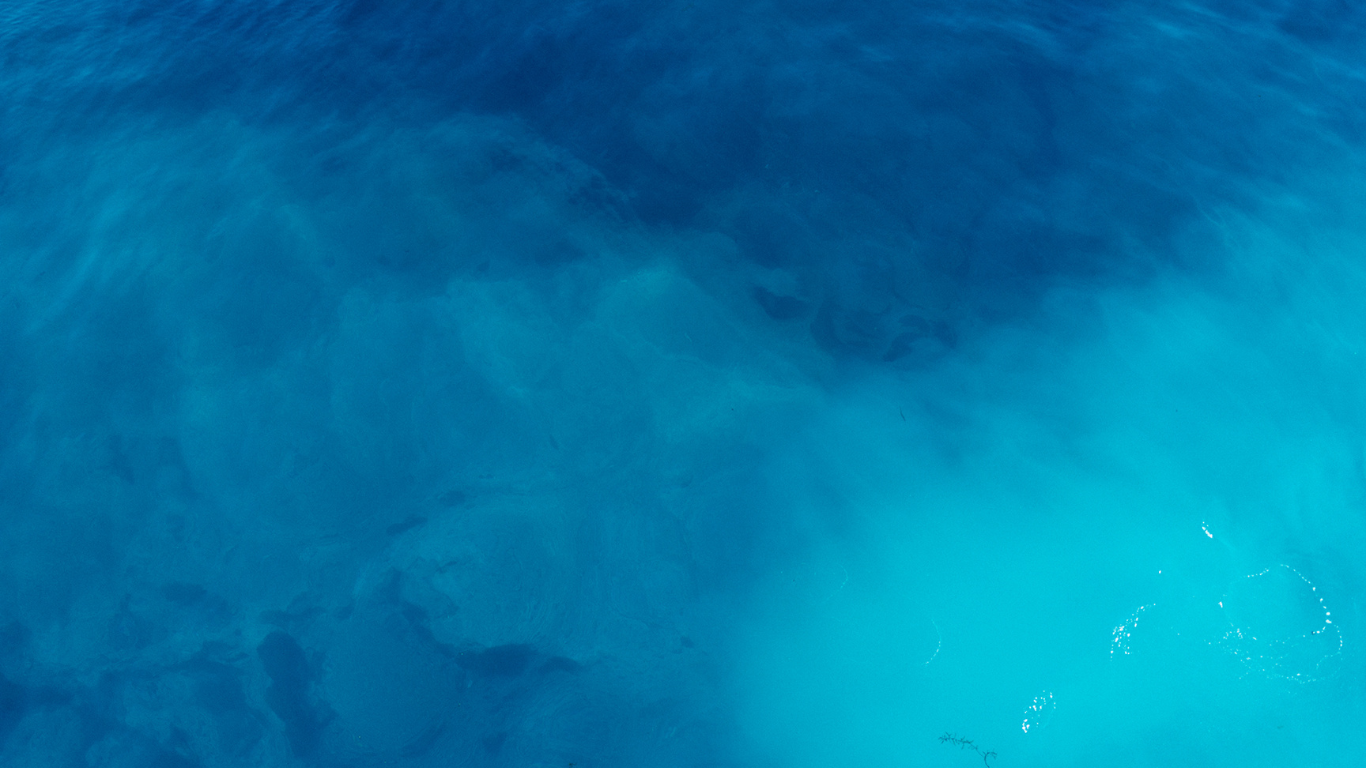 Untitled design (3).png