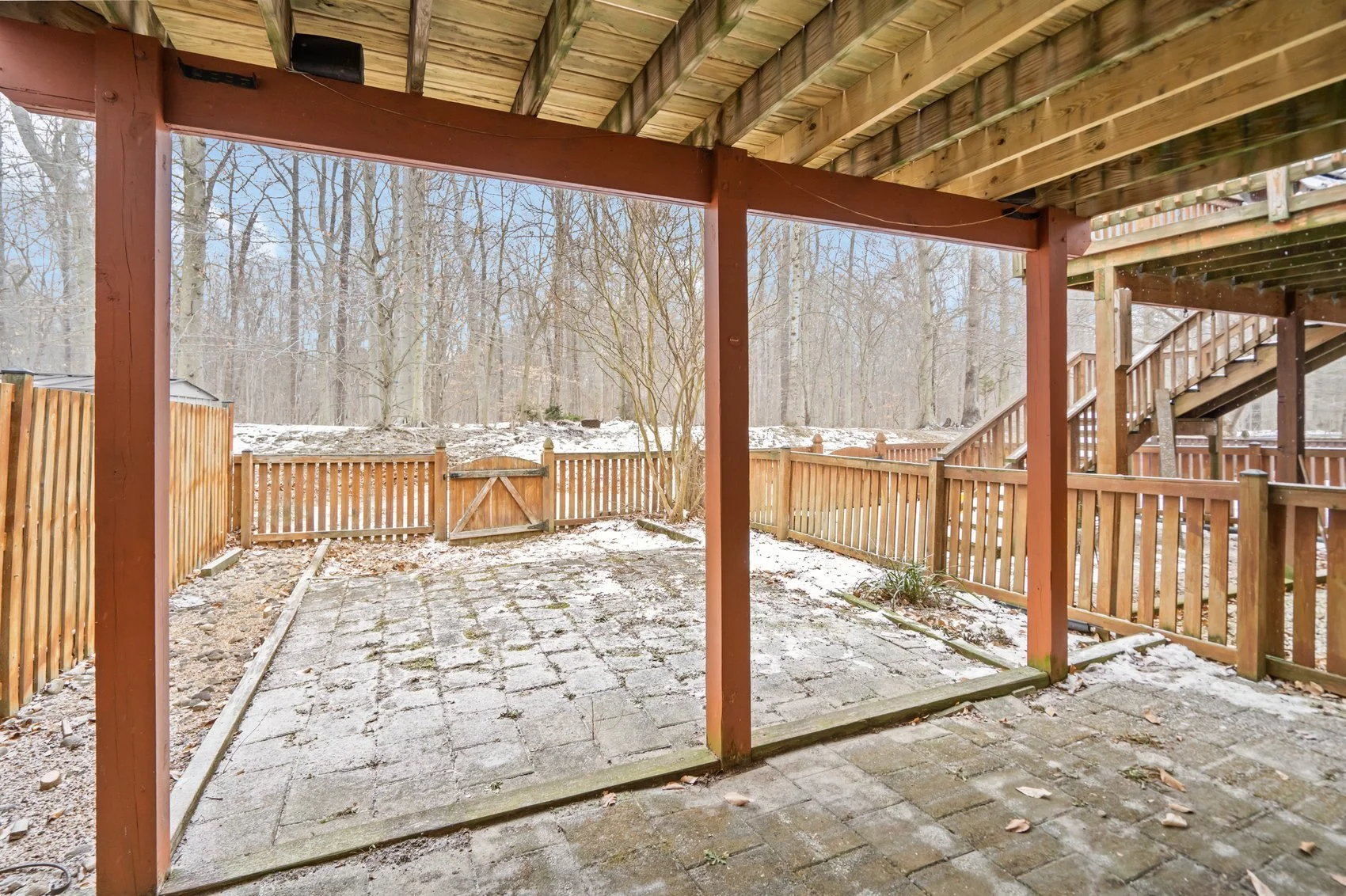 4965 BRISTLE CONE-22.jpg