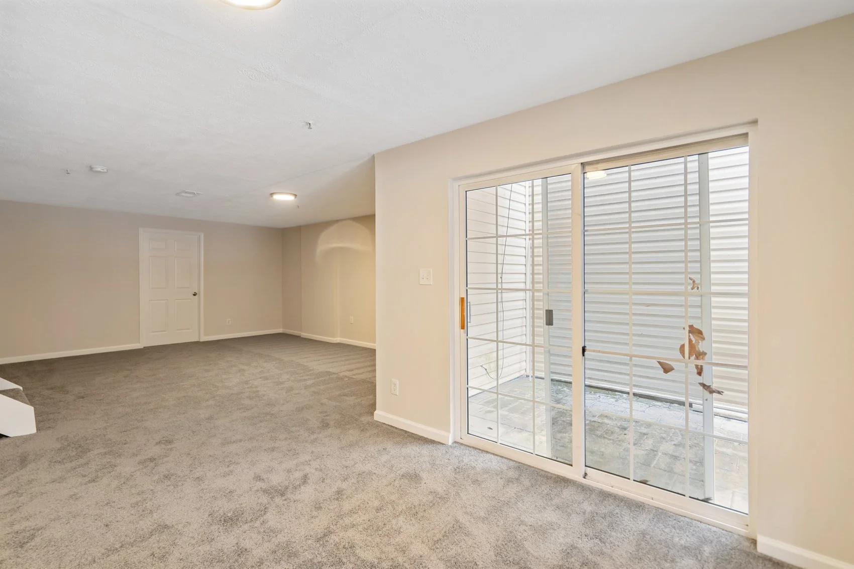 4965 BRISTLE CONE-30.jpg