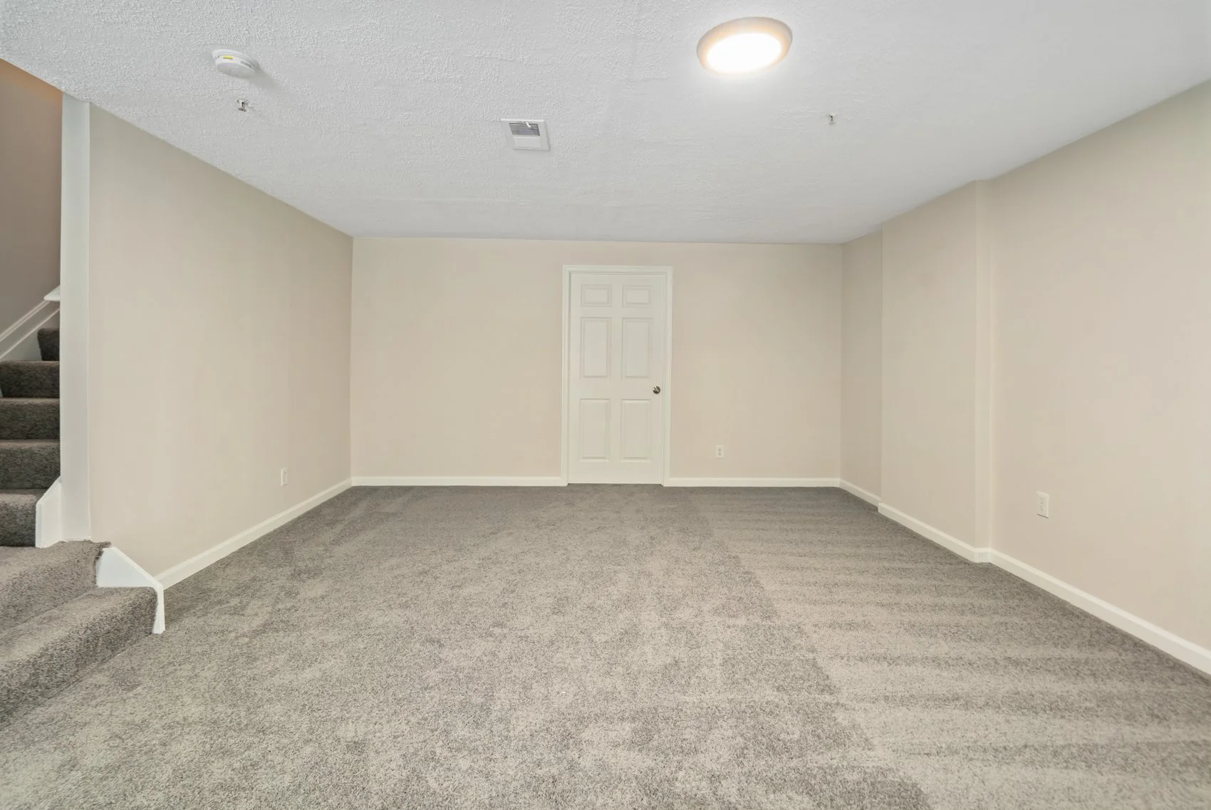 4965 BRISTLE CONE-28.jpg