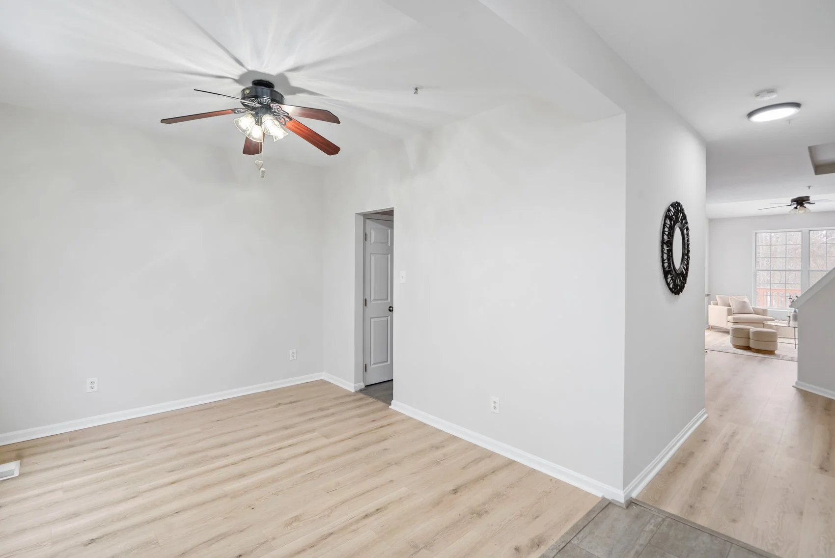 4965 BRISTLE CONE-03.jpg