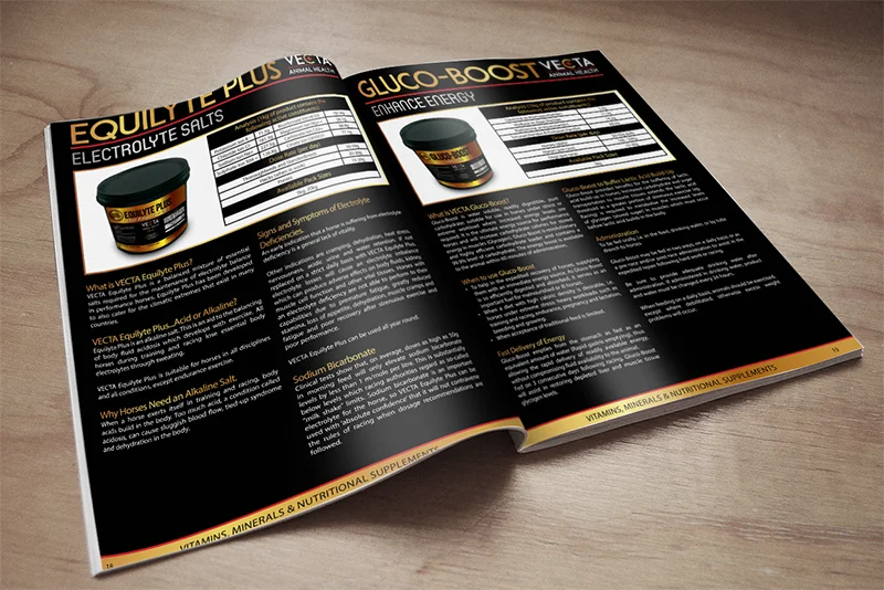 vecta catalog.jpg