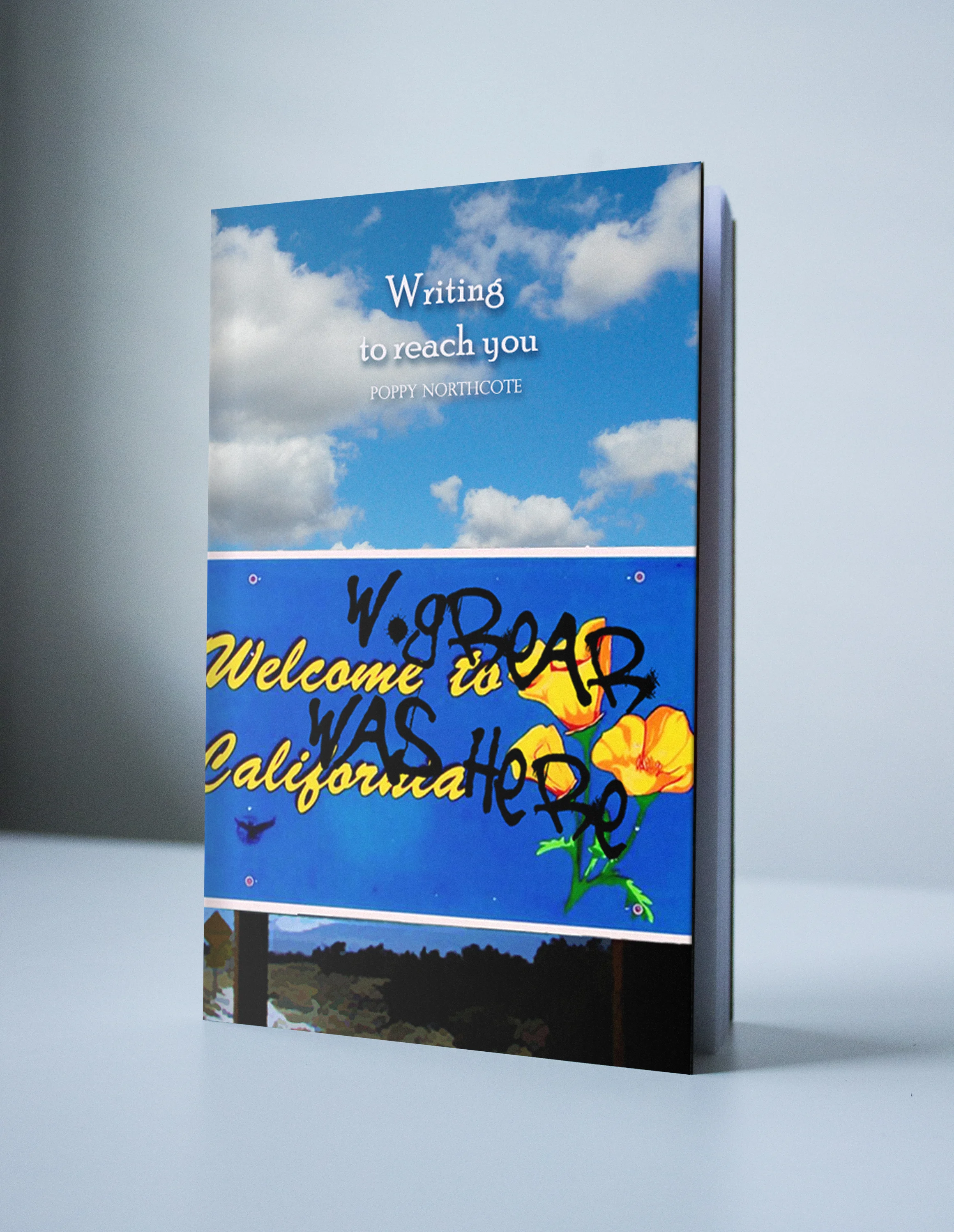 BookCover3.jpg