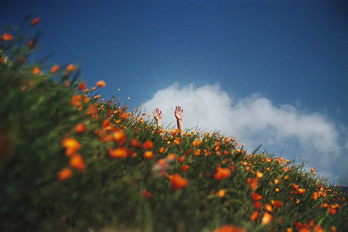 Euphoric Death 016_Original.jpeg