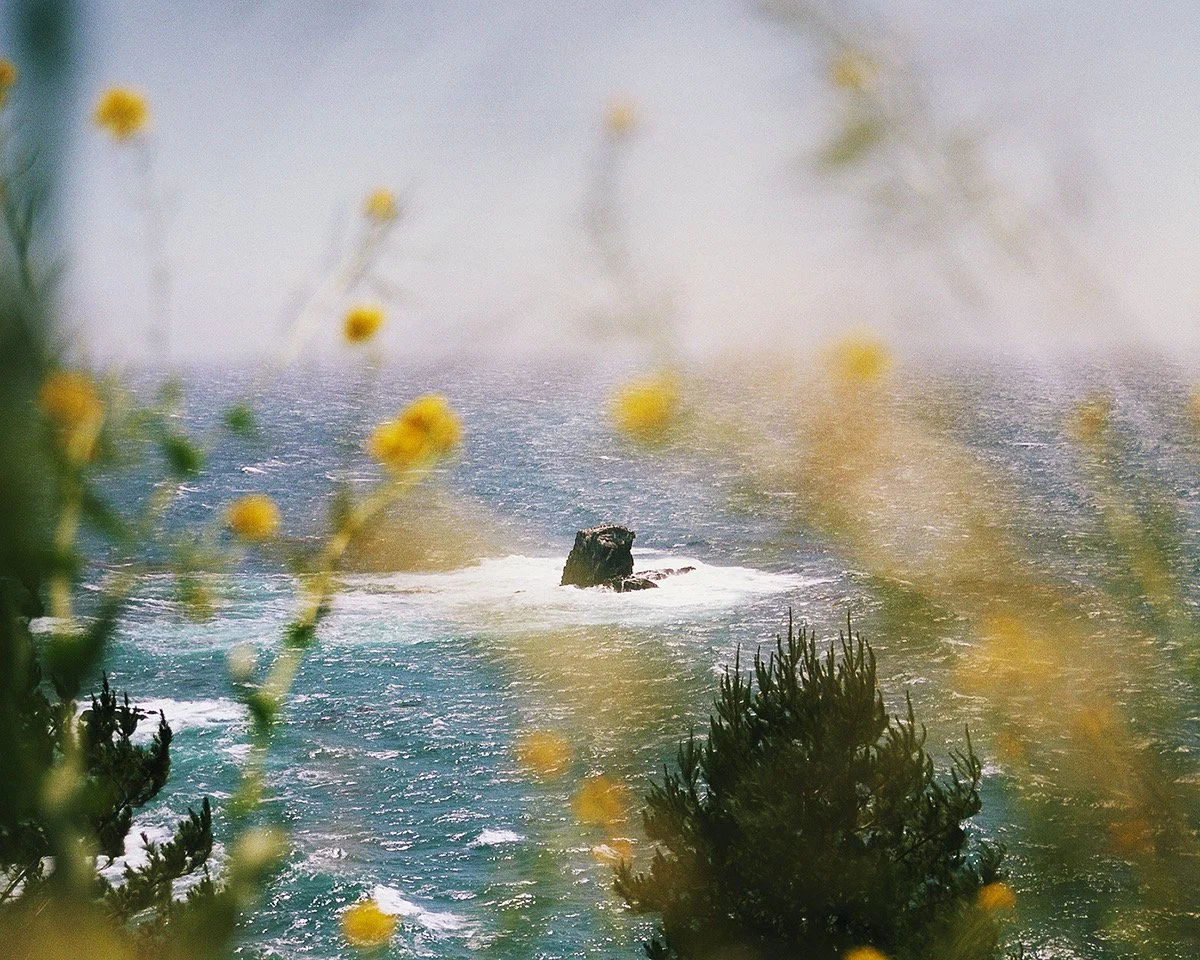 31A_0608 copy_Original.jpeg