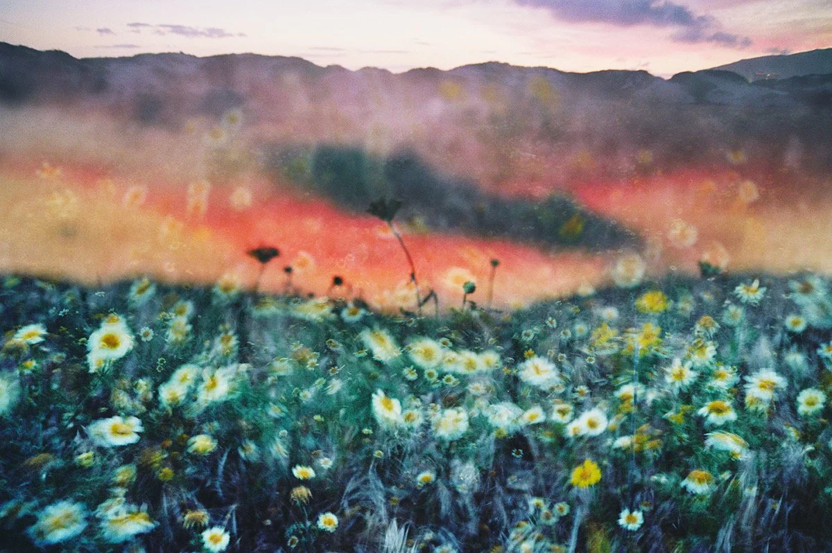 10A_0083 sml_Original.jpeg