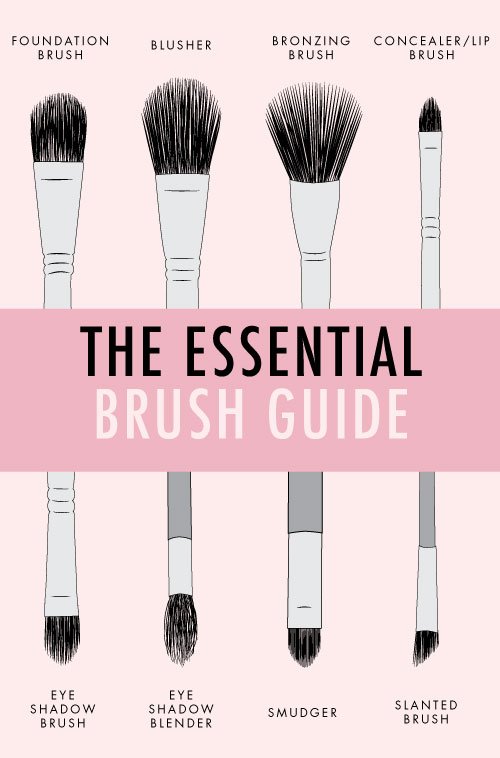 Essentail-Brush-Guide.jpg