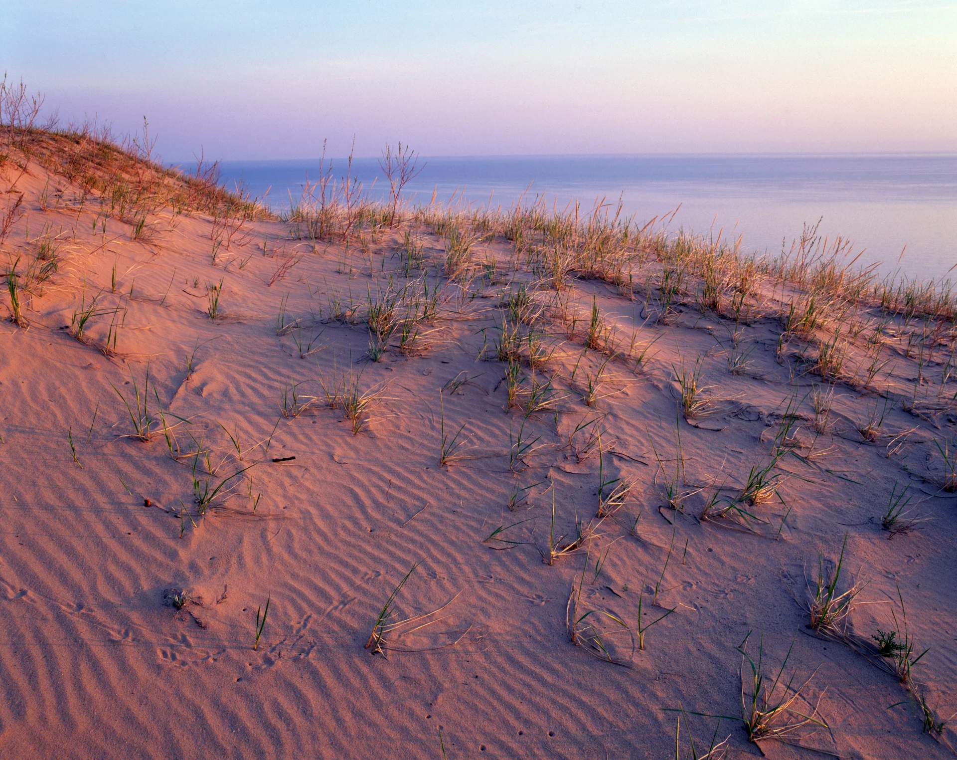 dunes 2.jpg