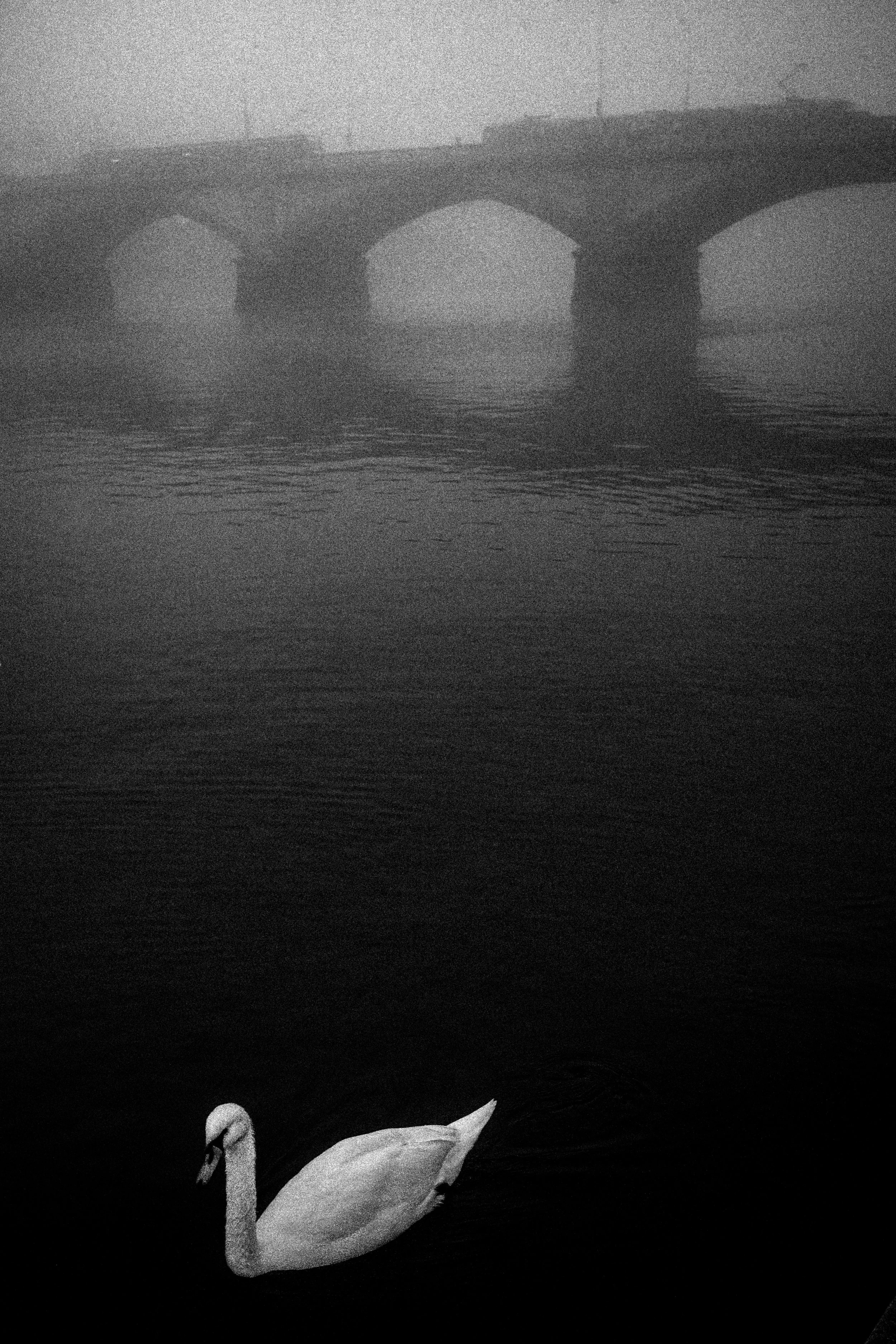 L1005343.jpg