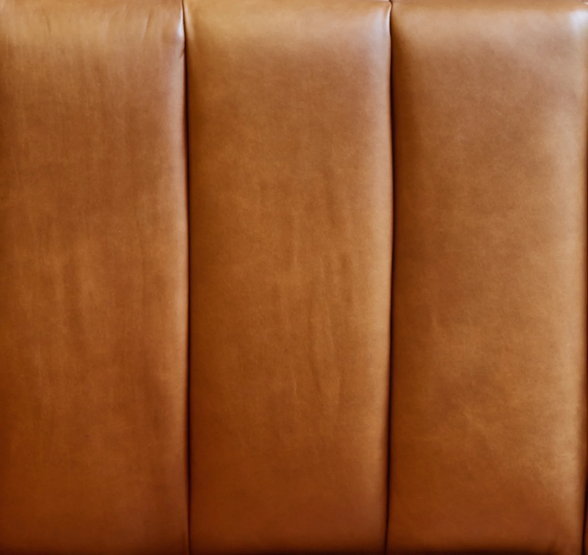 Background 1.jpg