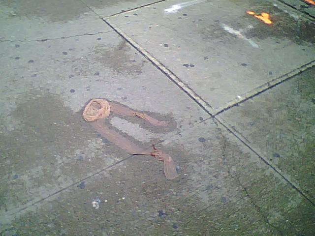 sidewalk hose co KBB.jpg