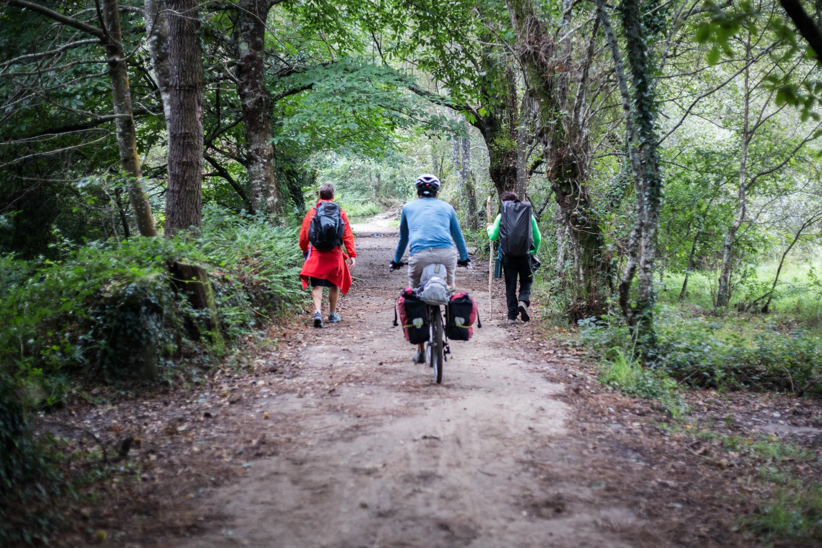 Día 14: Palas de Rei - Arzúa