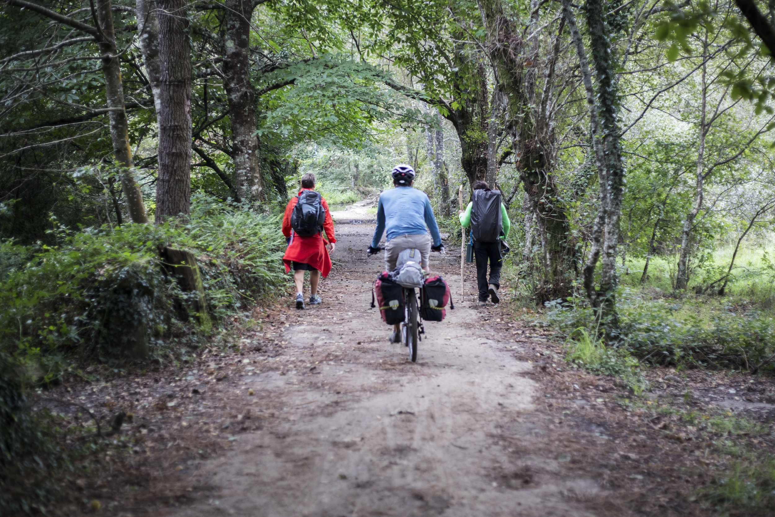 Camino de Santiago by Ivan Blanco HR-9407.jpg