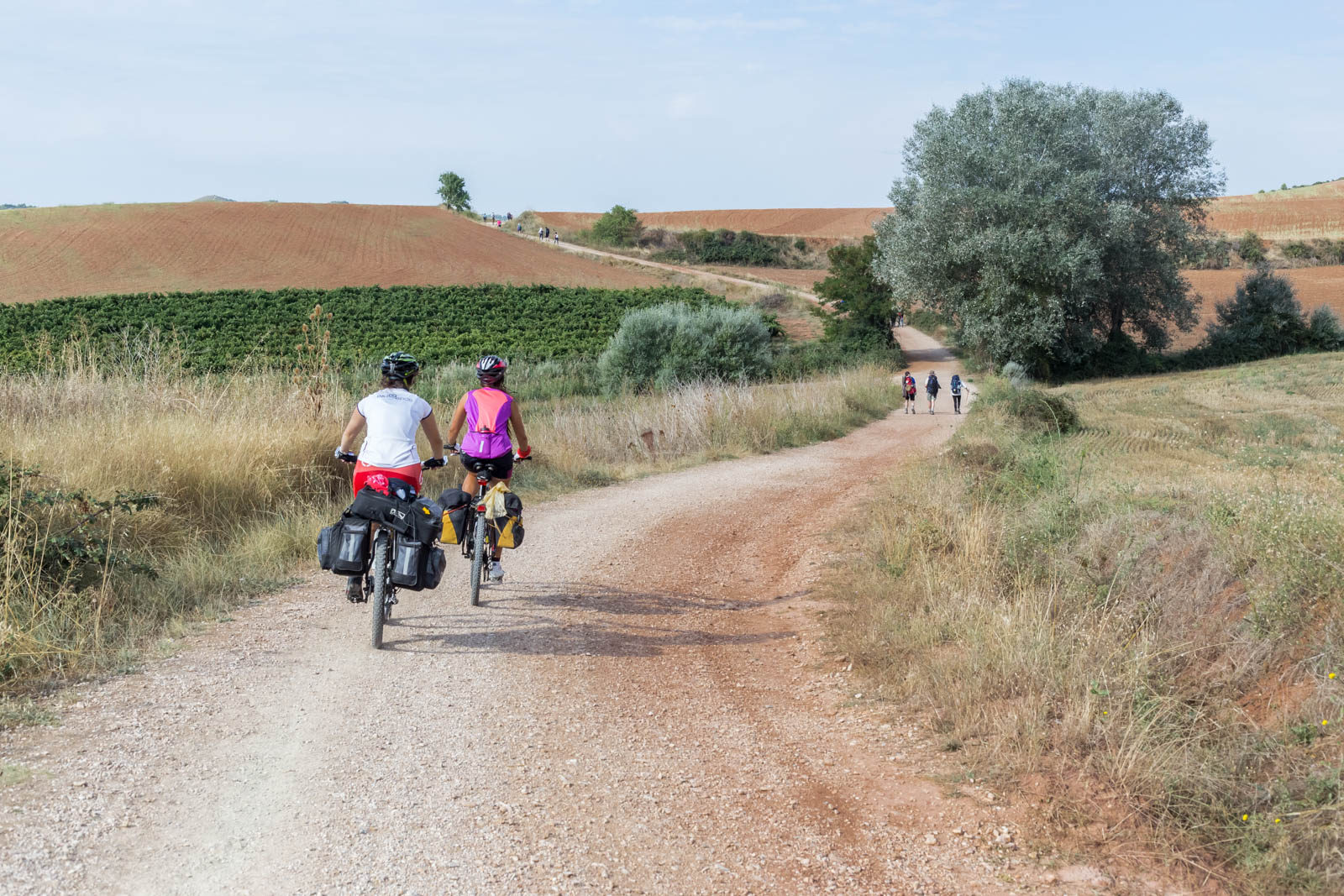 IG - Camino de Santiago copyright Ivan Blanco Vilar LR-7378.jpg