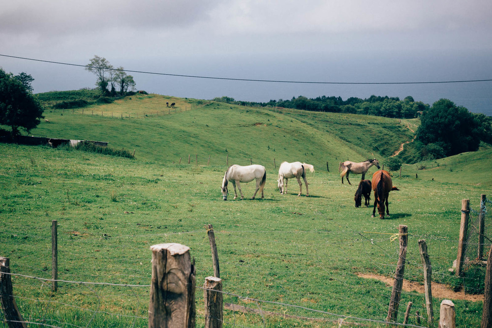 Camino North - Day 03 - Copyright Ivan Blanco - LR-5782.jpg