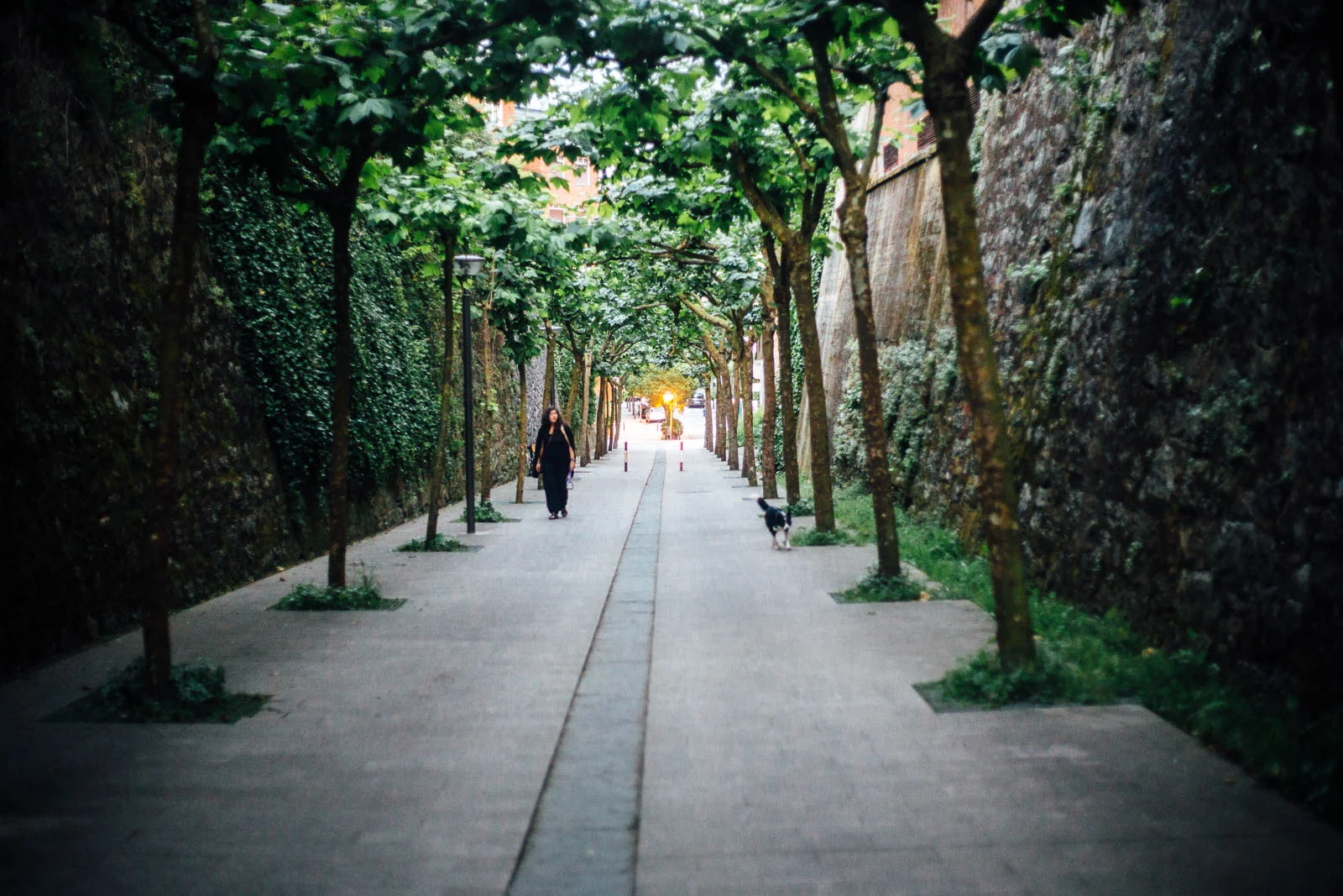 Camino North - Day 03 - Copyright Ivan Blanco - LR-6102.jpg