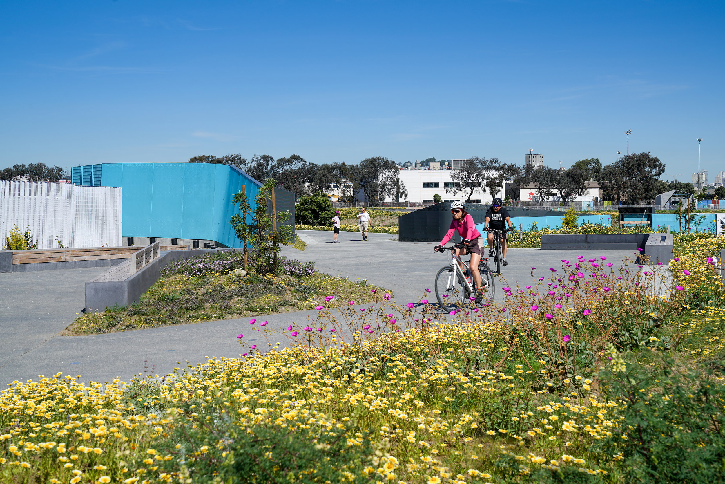 Shoreline Rehabilitation & Restoration