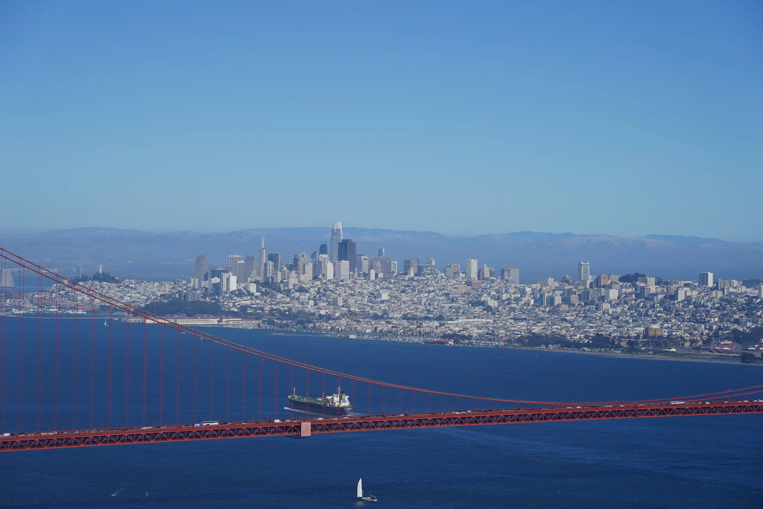 Introduction to Bay Swimming at Aquatic Park San Francisco