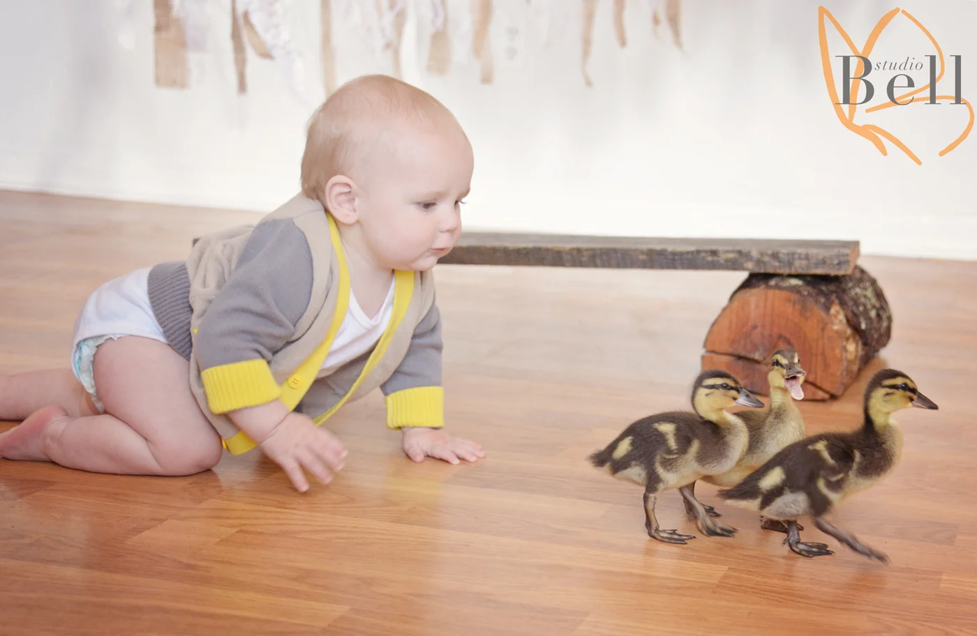 Poor little fella, we never did let him catch those ducks! Snatch him up every time :)