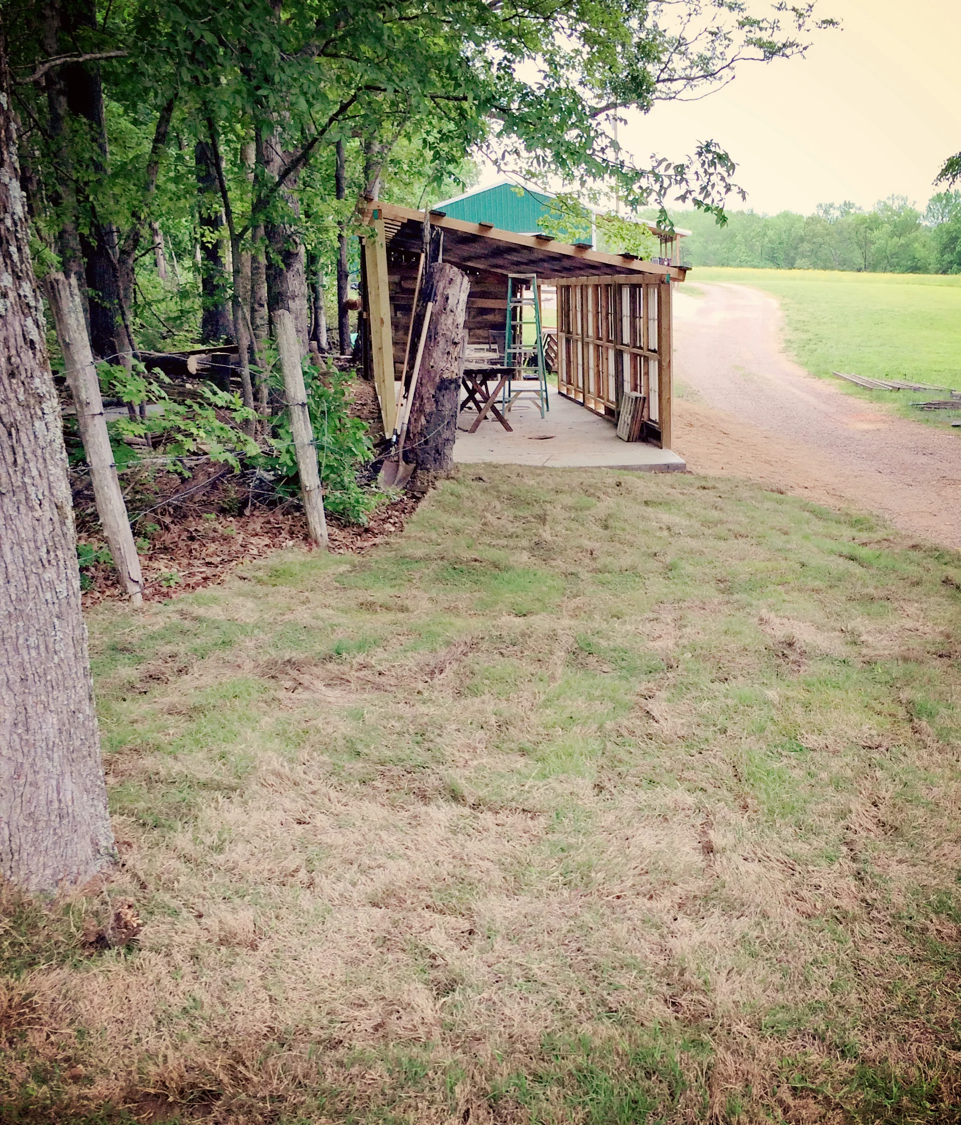 We got the first section of sod laid last weekend! There will be more to go in the front once construction is finished.