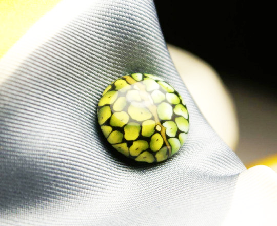 Lizard eye magnetic tie tack MagTAK lapel & hat pin 