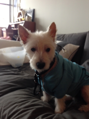  One of the first days in his new home.
