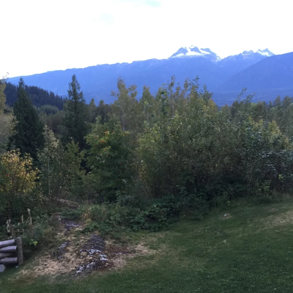 Revelstoke - came with a bear warning. 
