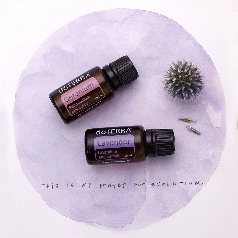 geranium+Lavender.jpg