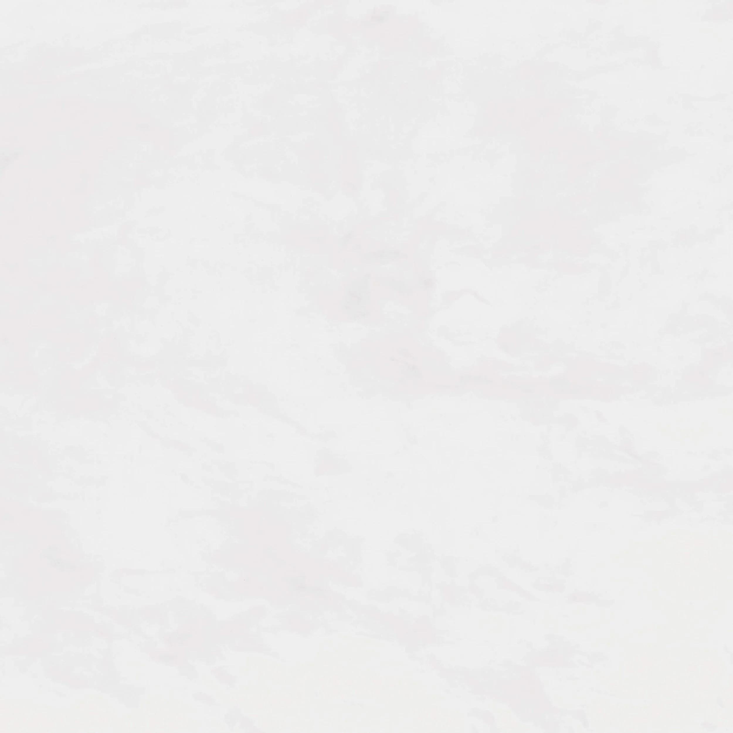 ST_Aria-Shine.jpg