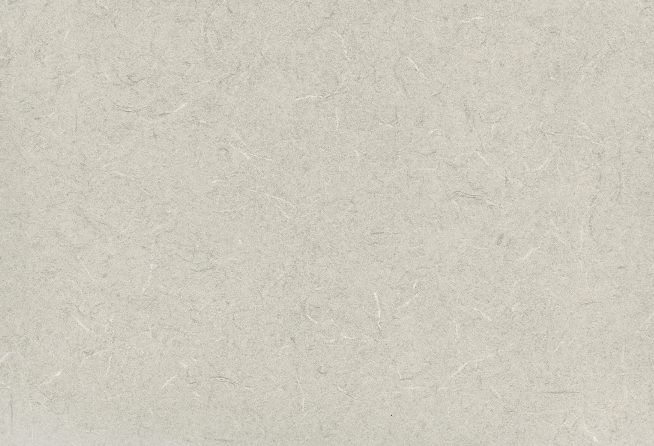 White Tigris 60
