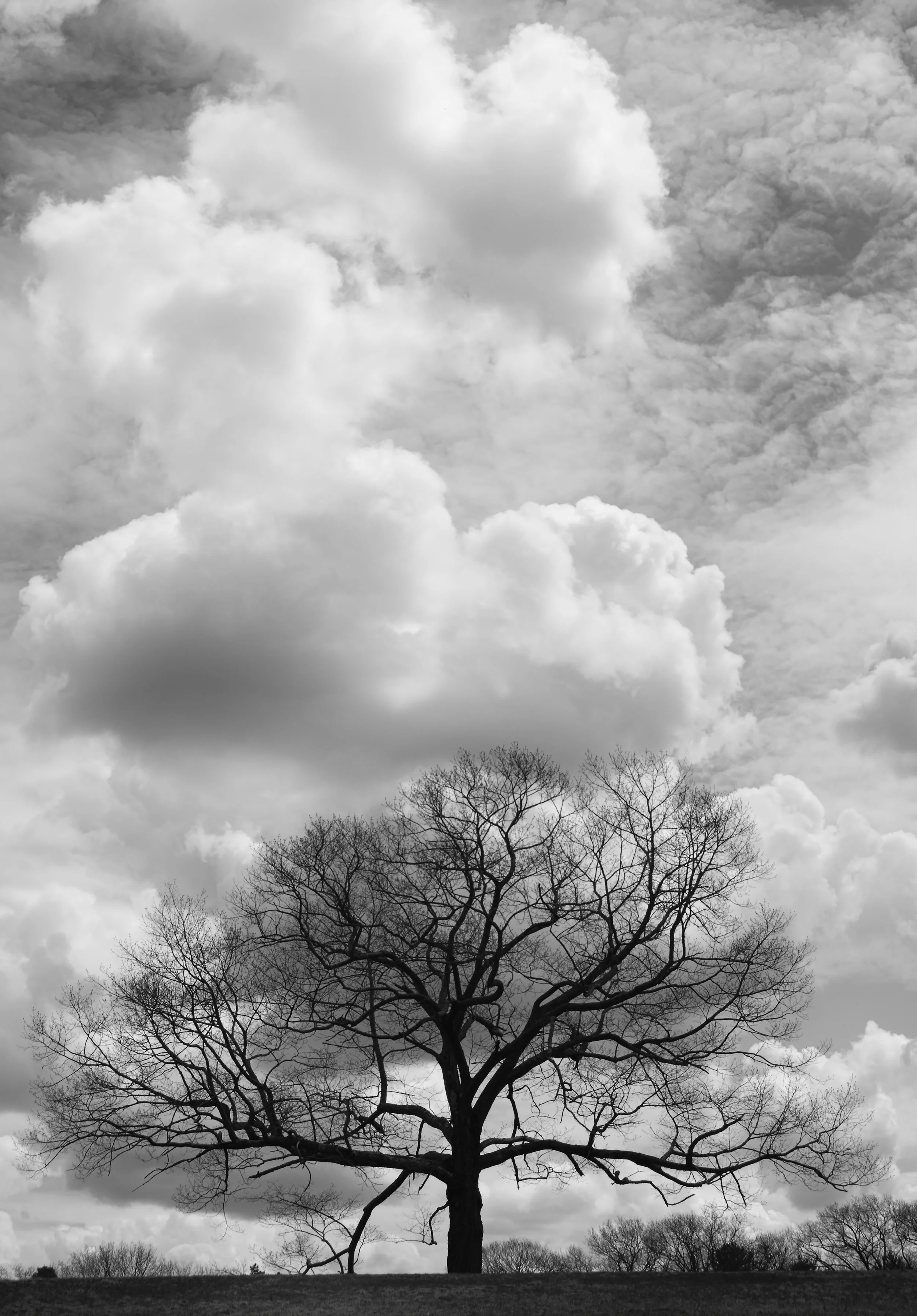 _DSC3360b.jpg