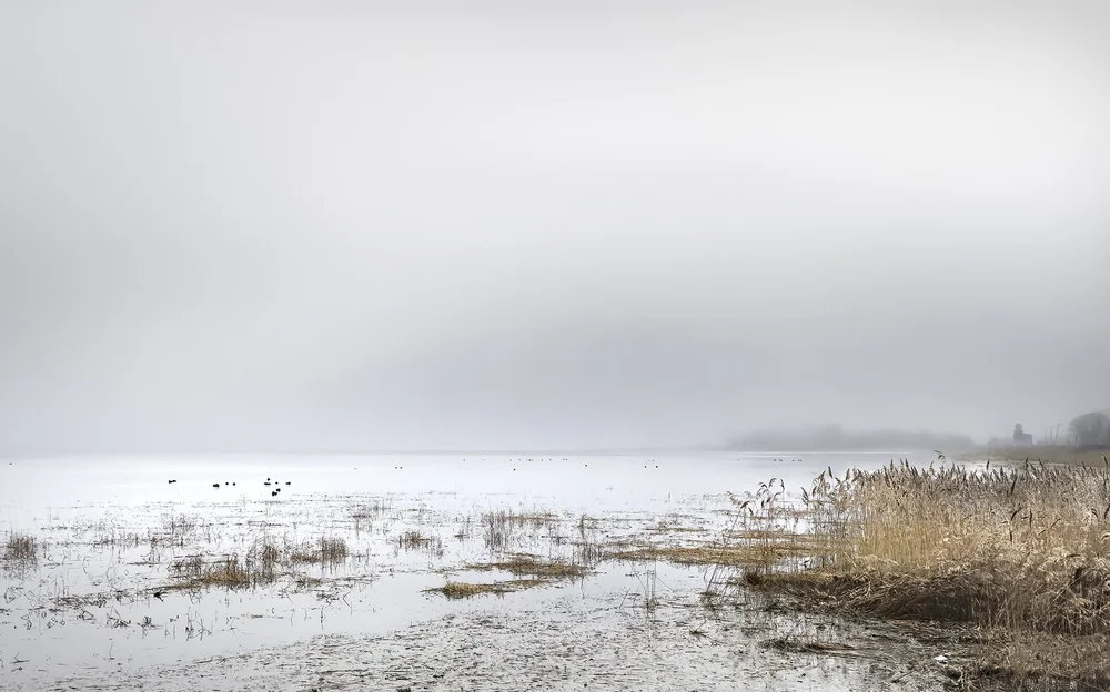 Marsh Views Portfolio — C. Max Schenk