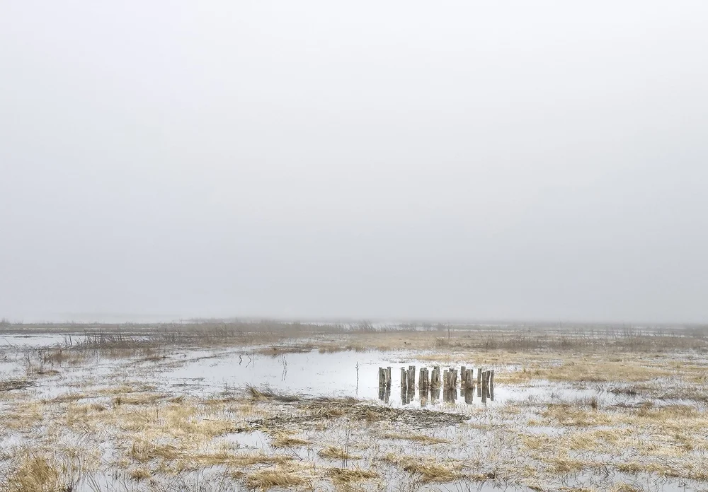Marsh Views Portfolio — C. Max Schenk