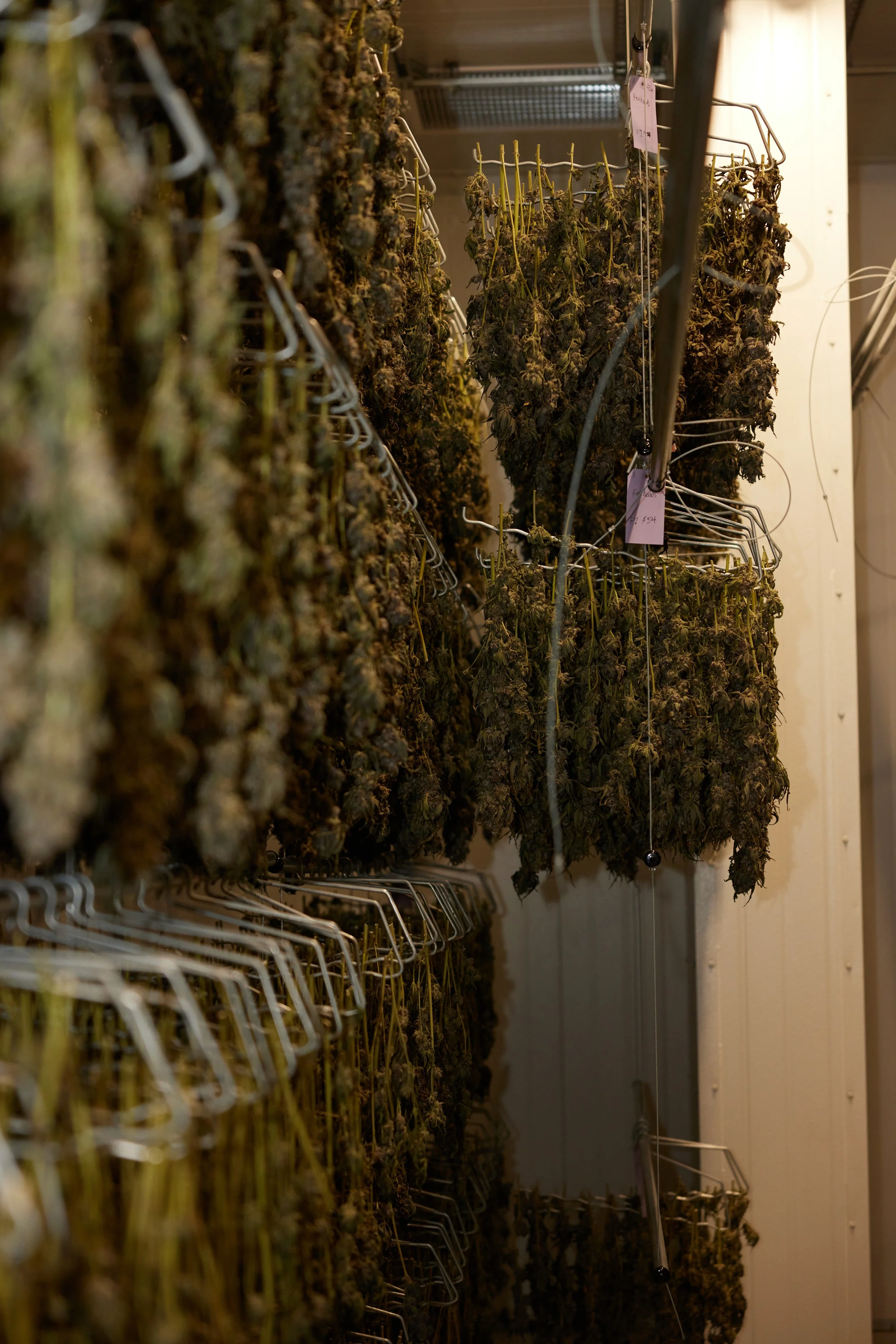 DryRoom_01.jpg