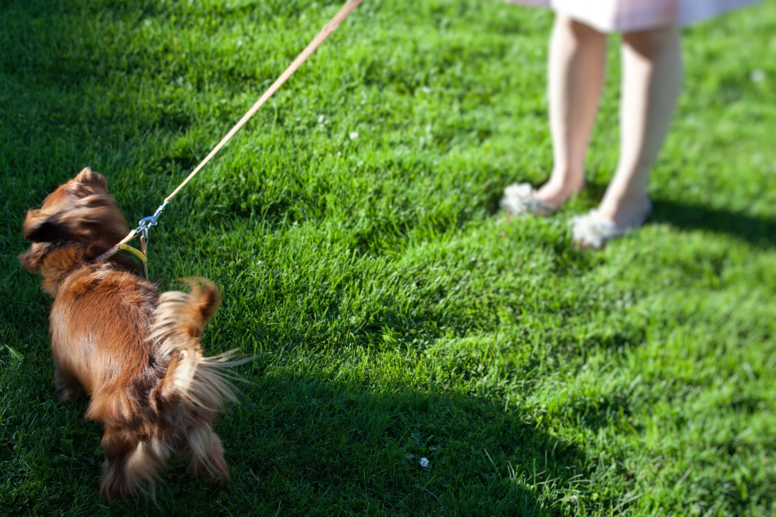 Raven Wedding Preview-10.jpg