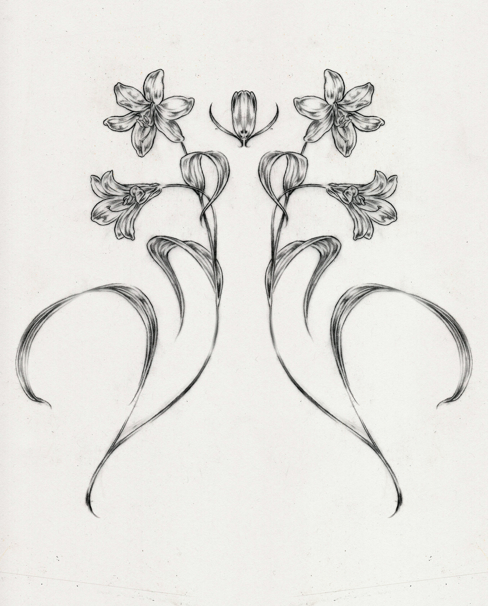flower.png