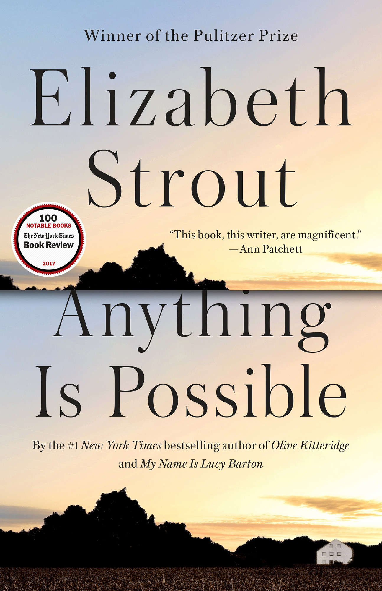Anything Is Possible — Elizabeth Strout